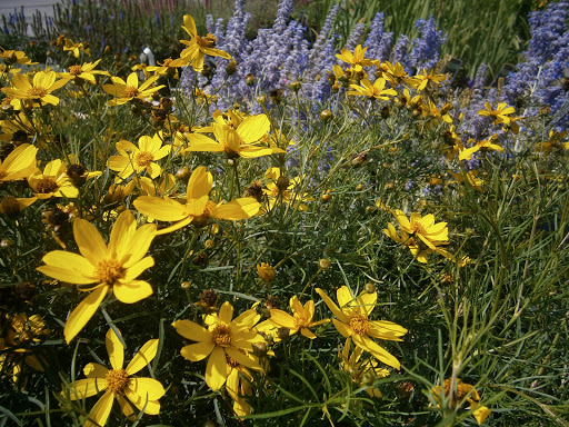 Pet Supply Store «CountryMax - Batavia», reviews and photos, 610 E Main St, Batavia, NY 14020, USA