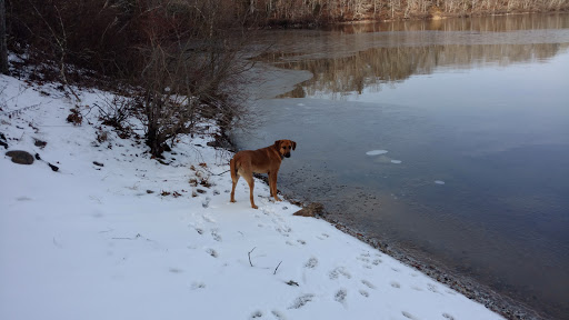 Park «Goodwill Park», reviews and photos, 416 Green St, Holliston, MA 02540, USA