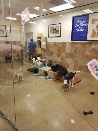 Pet Supply Store «PetSmart», reviews and photos, 19320 Nordhoff Way, Northridge, CA 91324, USA