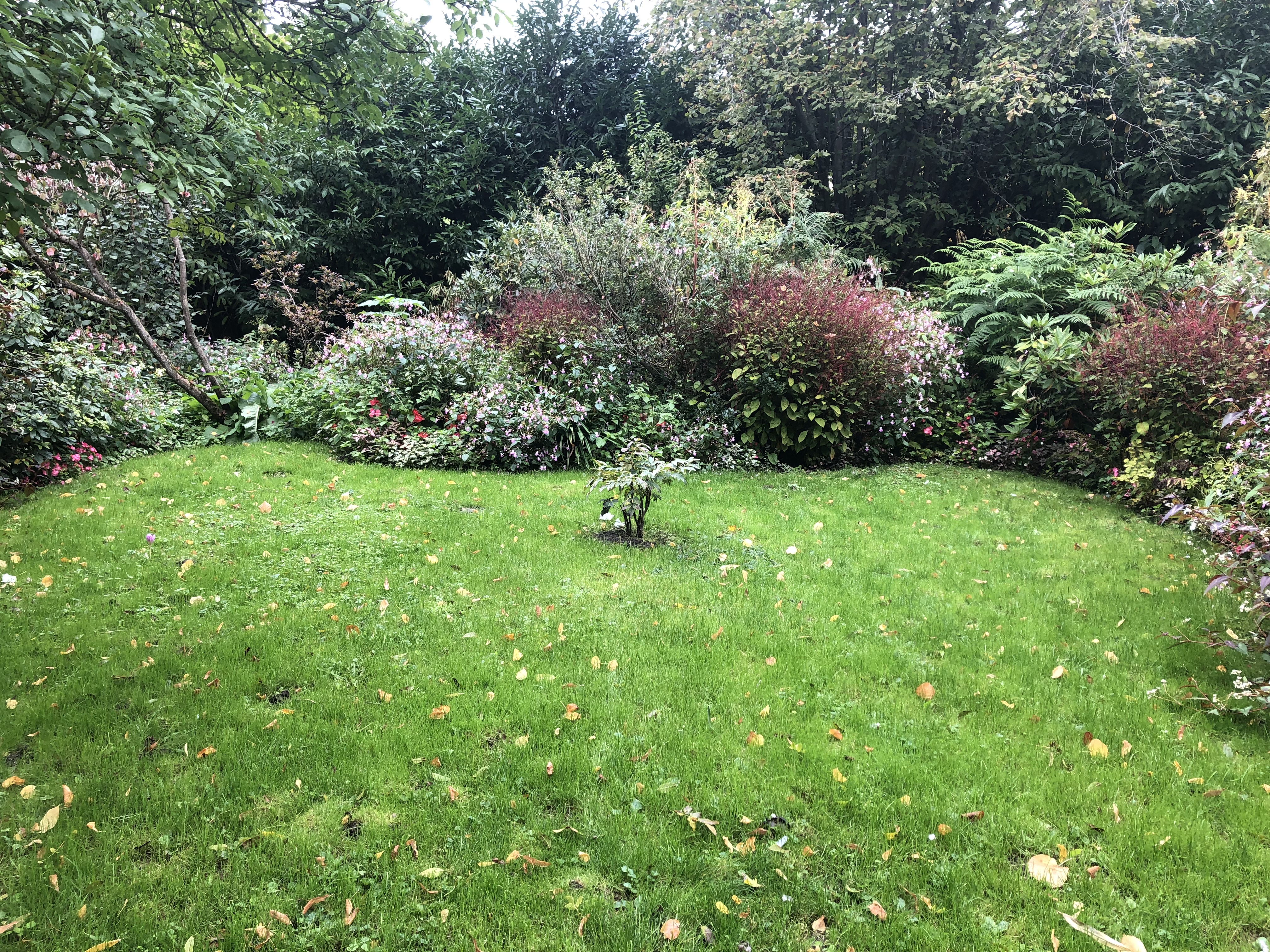 Photo n° 13 de l'avis de Manu. fait le 02/10/2022 à 18:08