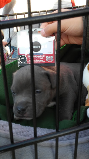 Pet Supply Store «Petco Animal Supplies», reviews and photos, 1 US-46, Totowa, NJ 07512, USA