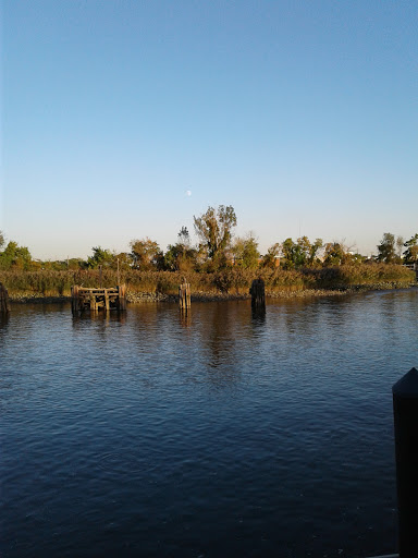 Golf Course «Riverwalk Mini Golf», reviews and photos, 550 Justison St, Wilmington, DE 19801, USA