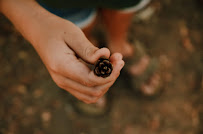 Cailyn Murray Photography - Photo 4 - Car repair in , Garden Grove