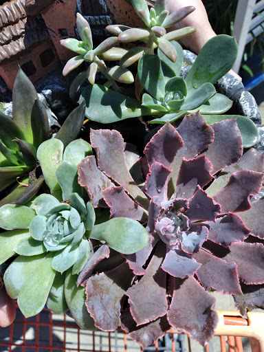 Home Improvement Store «The Home Depot», reviews and photos, 1049 Collinsville Crossing, Collinsville, IL 62234, USA