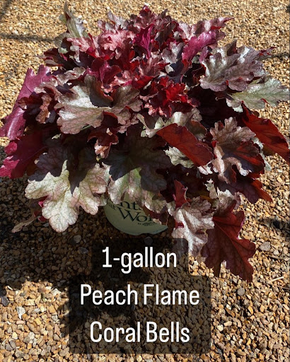 Landscaping Supply Store «Kirkwood Gardens», reviews and photos, 2701 Barrett Station Rd, Ballwin, MO 63021, USA