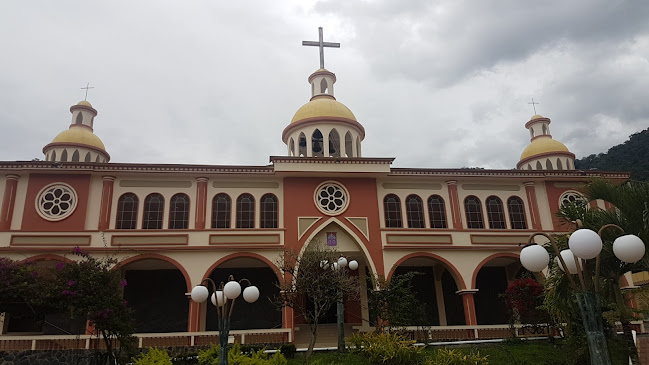 Opiniones de Catedral Católica Nuestra Señora del Carmen de Zamora en Zamora - Iglesia