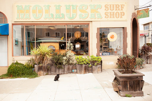 Surf Shop «Mollusk Surf Shop», reviews and photos, 4500 Irving St, San Francisco, CA 94122, USA