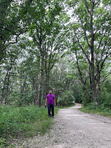 Nature Preserve «Bullfrog Lake», reviews and photos, 9600 Wolf Rd, Willow Springs, IL 60480, USA