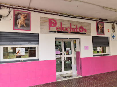 Centro Veterinario Peluchitos Vértice - Servicios para mascota en Sevilla