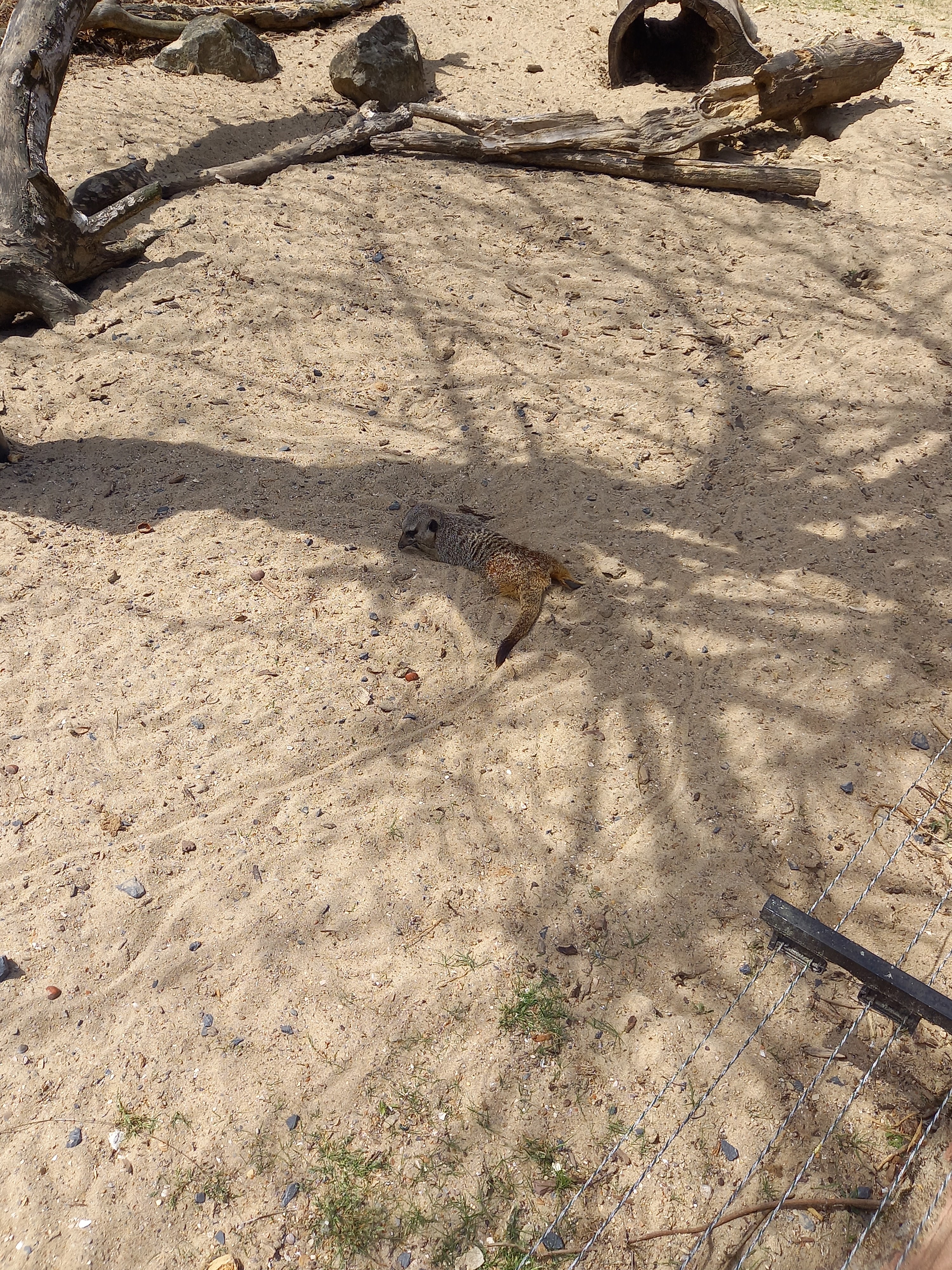 Photo n° 3 de l'avis de Metin.k fait le 18/06/2022 à 14:47