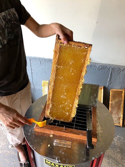 Beetown Honey