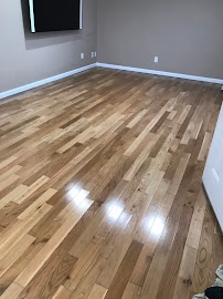 Evolution Steam Carpet Cleaner - Photo 7 - Car repair in , Staten Island