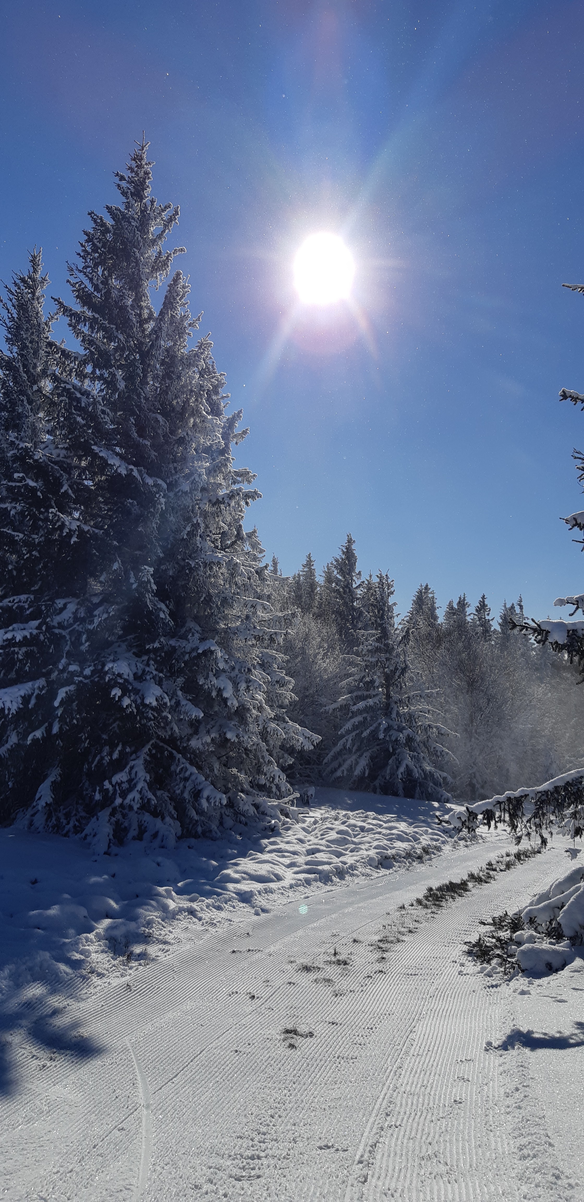 Photo n° 6 de l'avis de Patricia.t fait le 24/12/2017 à 19:48