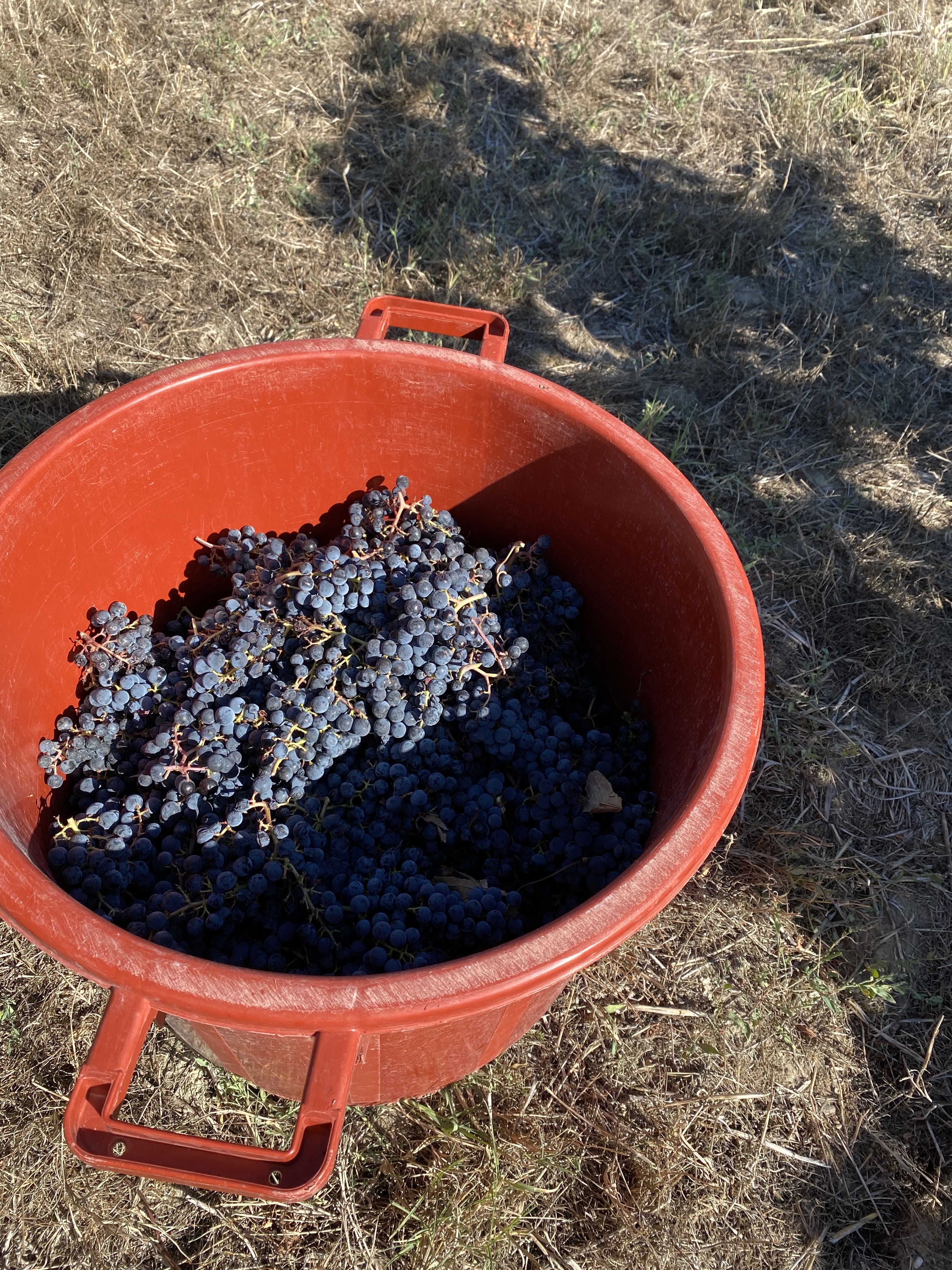 Photo n° 1 de l'avis de Magali.A fait le 20/09/2022 à 10:11