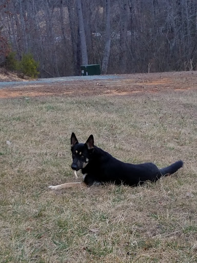 Pet Supply Store «Pet Supplies Plus», reviews and photos, 1150 N Court St #2A, Medina, OH 44256, USA