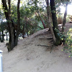 Photo n°40 de l'avis de Mr.. fait le 30/12/2019 à 14:38 sur le  Park Hotel I Lecci - Blu Hotels à San Vincenzo