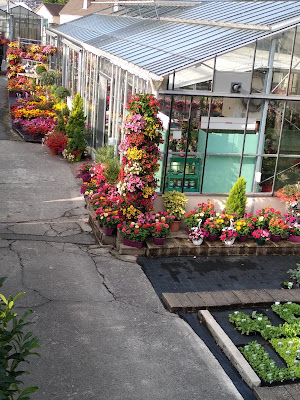C'FLEURS à Sées