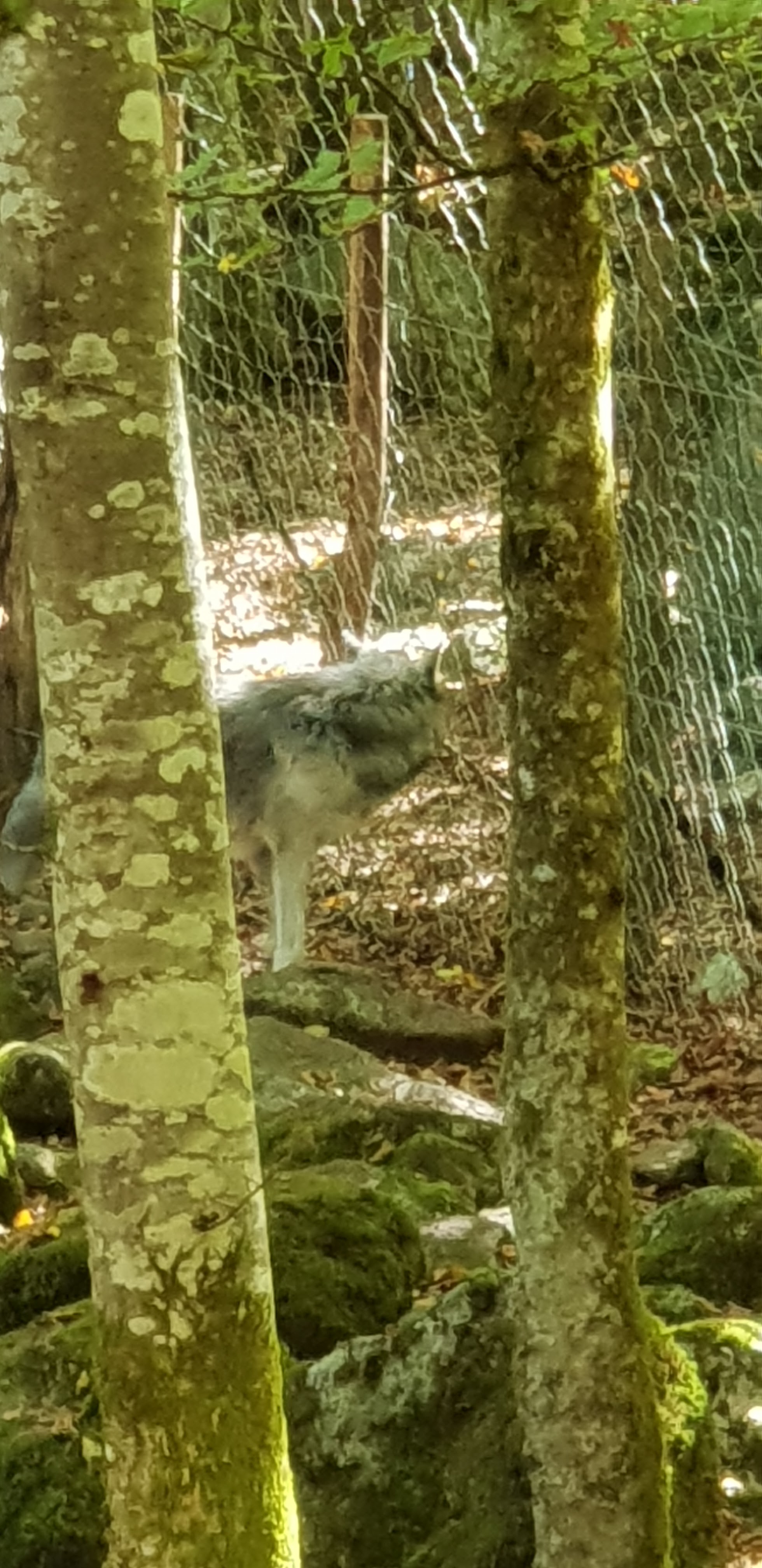Photo n° 15 de l'avis de Christophe.e fait le 26/09/2018 à 10:29