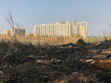 Google Maps image 22