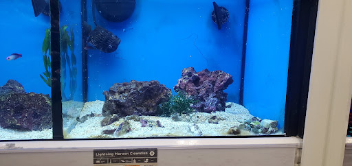 Shopping Mall «White City Shopping Center», reviews and photos, 50 Boston Turnpike, Shrewsbury, MA 01545, USA