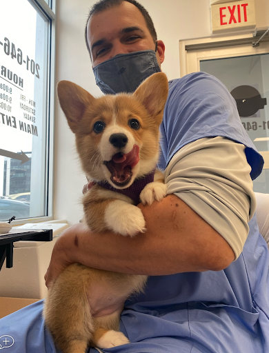 Meadowlands Veterinary Hospital image