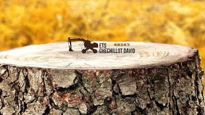ETS Chechillot David à Malange