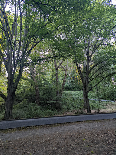 Park «Lakeview Park», reviews and photos, 340 37th Ave E, Seattle, WA 98112, USA