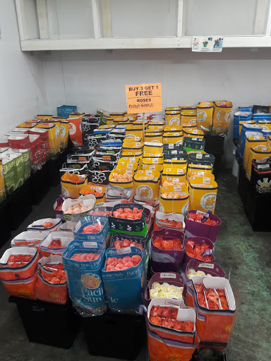 Wholesale Florist «United Wholesale Flowers», reviews and photos, 2510 Channing Ave, San Jose, CA 95131, USA