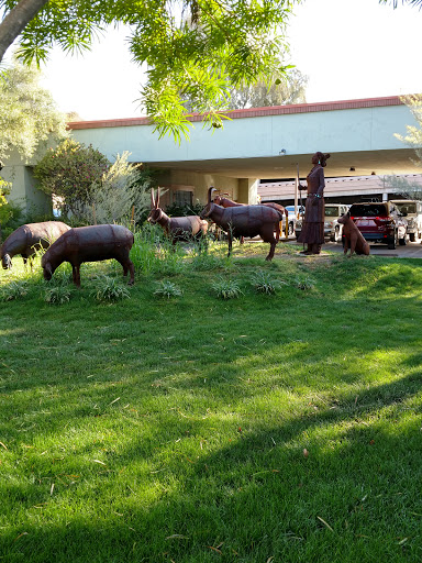 Livestock producer Scottsdale