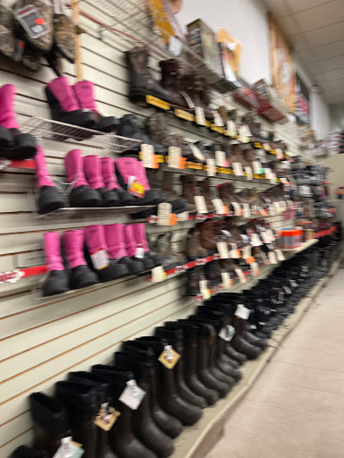 Sporting Goods Store «Hunters Gallery», reviews and photos, 237 Mt Cobb Hwy, Hamlin, PA 18427, USA