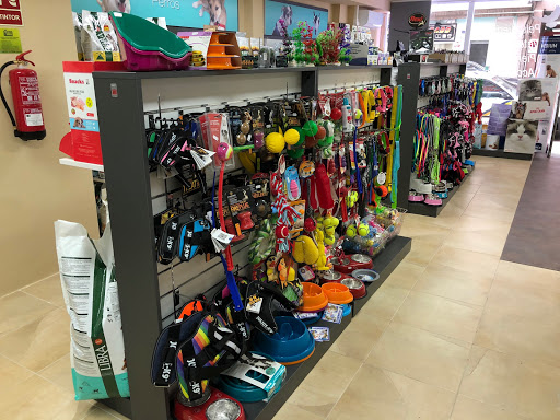 Gabo y Gordo Pet Shop, Las Palmas ~ Tienda para Mascotas, Consulta Veterinaria, Peluquería Canina. WhatsApp: 688 23 99 20.
