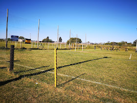 Peñarol Baby Fútbol