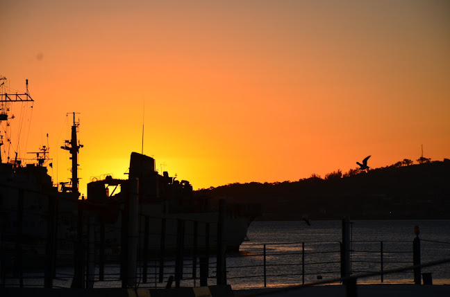 Opiniones de Buquebus, Puerto de Montevideo en Ciudad del Plata - Agencia de viajes