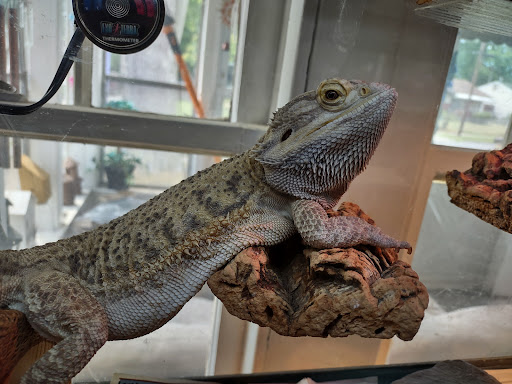 Pet Store «Moby Dick Pet Store Inc», reviews and photos, 3700 Sashabaw Rd, Waterford Twp, MI 48329, USA