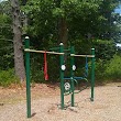 Pull up bars calistetic outdoor gym