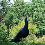 Photo n° 4 de l'avis de oph.r fait le 06/06/2022 à 09:17 pour Zoo de La Flèche à La Flèche