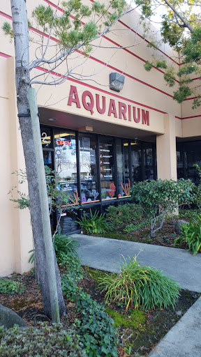 Tropical Fish Store «Aquatic Collection», reviews and photos, 1212 W Winton Ave, Hayward, CA 94545, USA