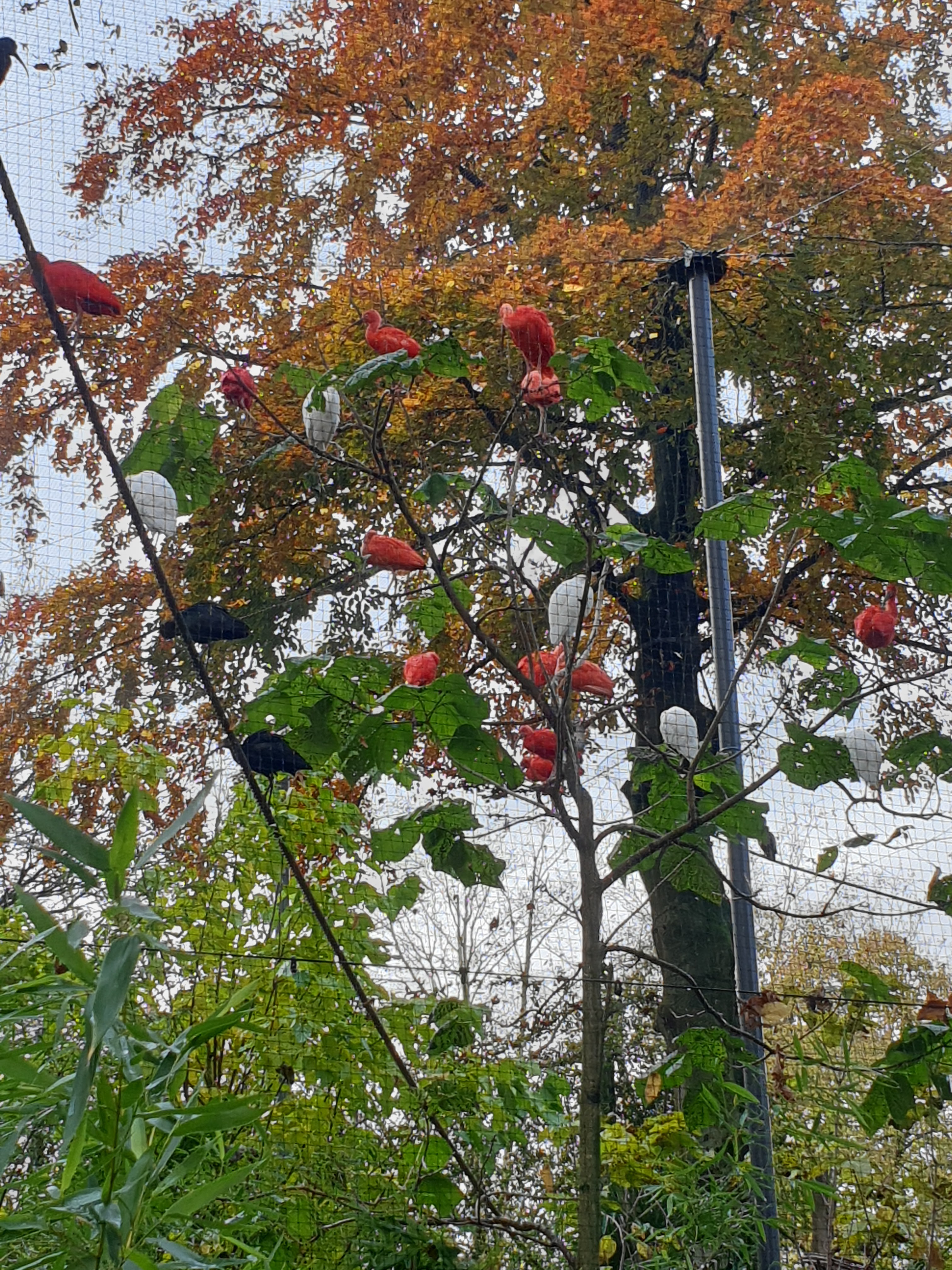 Photo n° 17 de l'avis de Jeremy.e fait le 11/07/2021 à 09:11