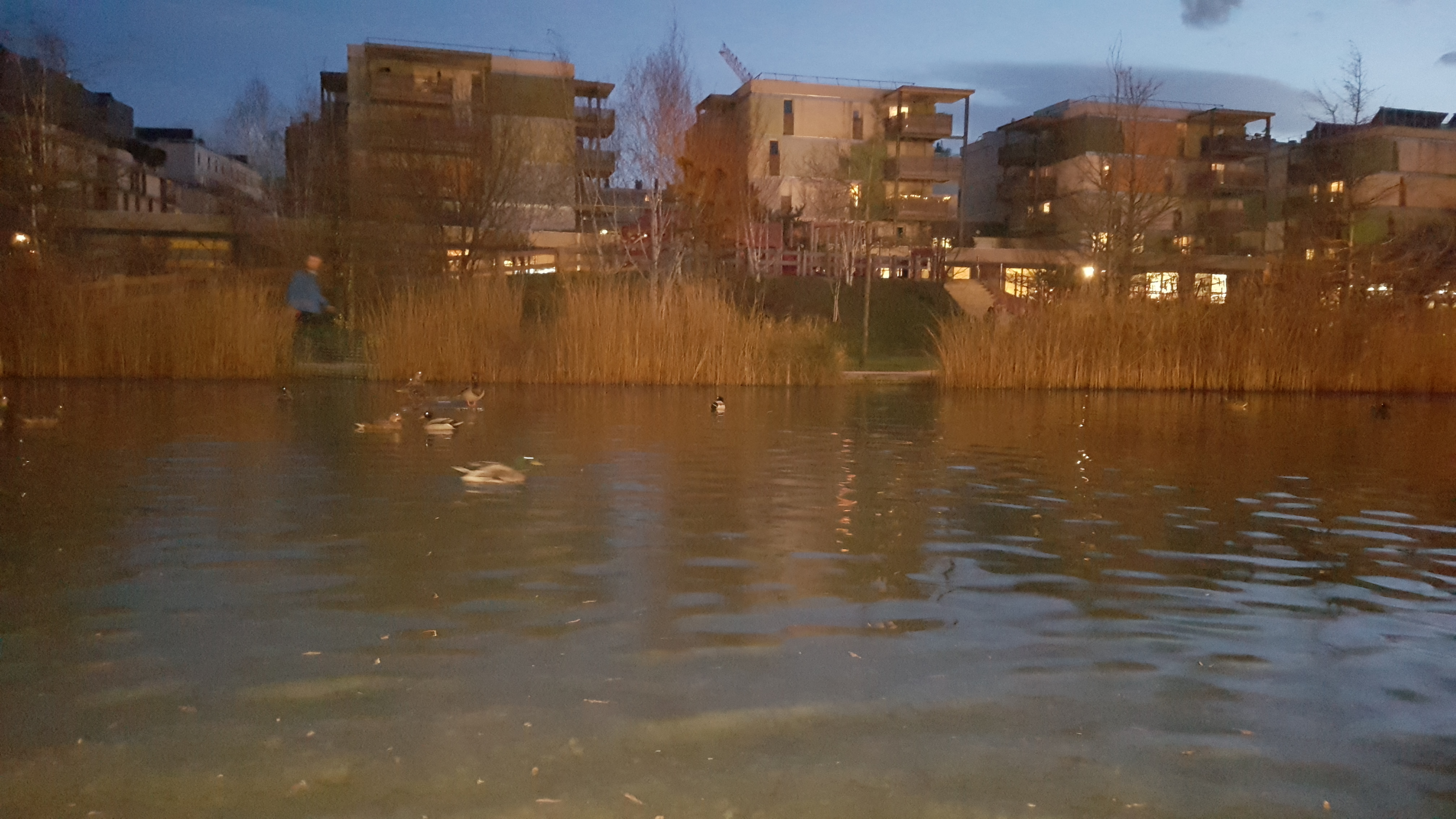 Photo n° 1 de l'avis de Ste.a fait le 17/02/2019 à 13:32