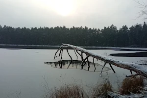 Ežeras Barsukynas image