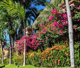 Casas De Las Brisas photo