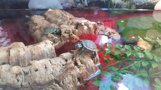 Pet Store «Wet Pets N Critters», reviews and photos, 103 TX-281 Loop, Longview, TX 75605, USA