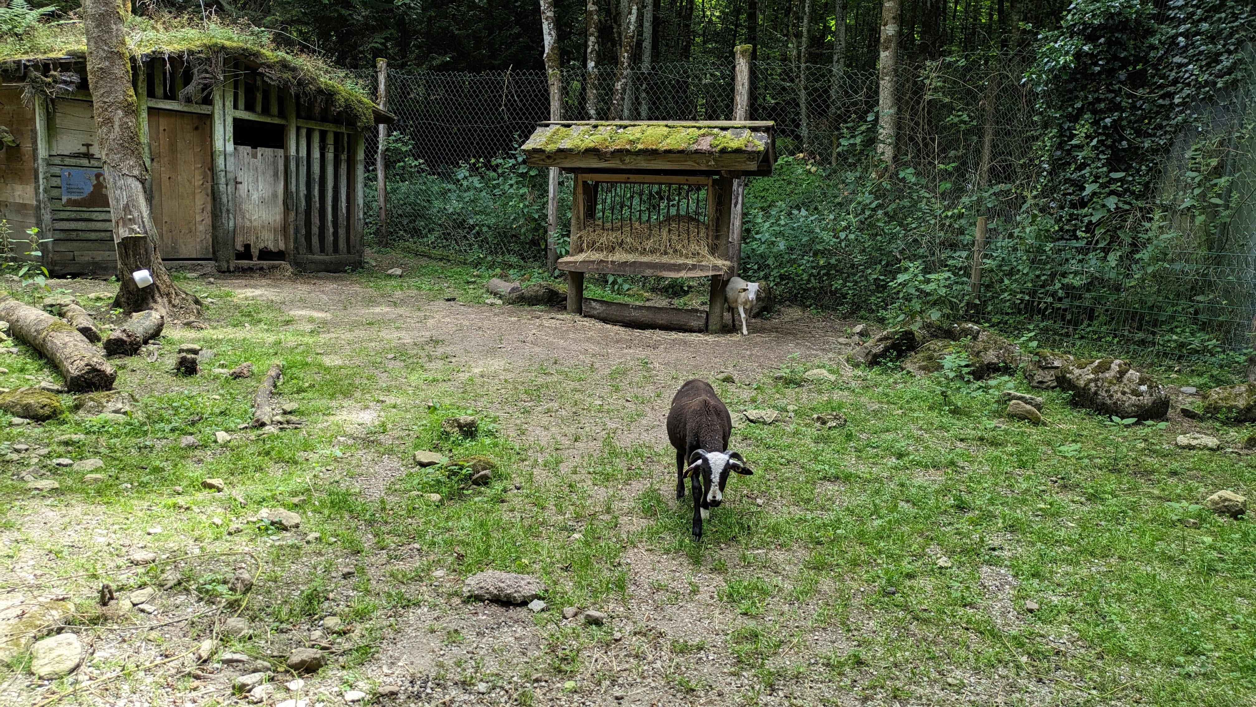 Photo n° 6 de l'avis de Dada.e fait le 15/08/2023 à 12:32