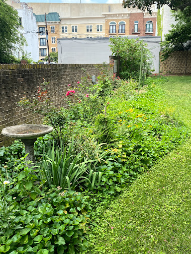 Museum «Hunter House Victorian Museum», reviews and photos, 240 W Freemason St, Norfolk, VA 23510, USA