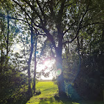 Photo n°3 de l'avis de Heike.o fait le 13/08/2023 à 11:49 sur le  Nienhof Cafe Kluntjestuv à Krummhörn