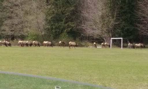 General Store «Brinnon General Store», reviews and photos, 306413 US-101, Brinnon, WA 98320, USA