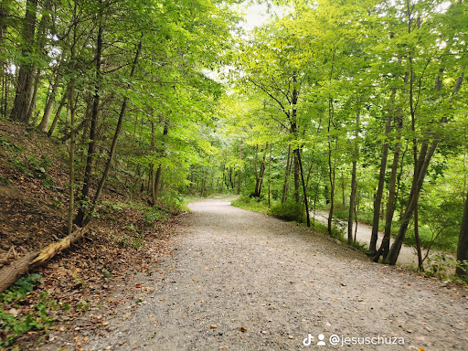 Gym «Coliseum Gym Inc», reviews and photos, 7509 71st Ave, Middle Village, NY 11379, USA