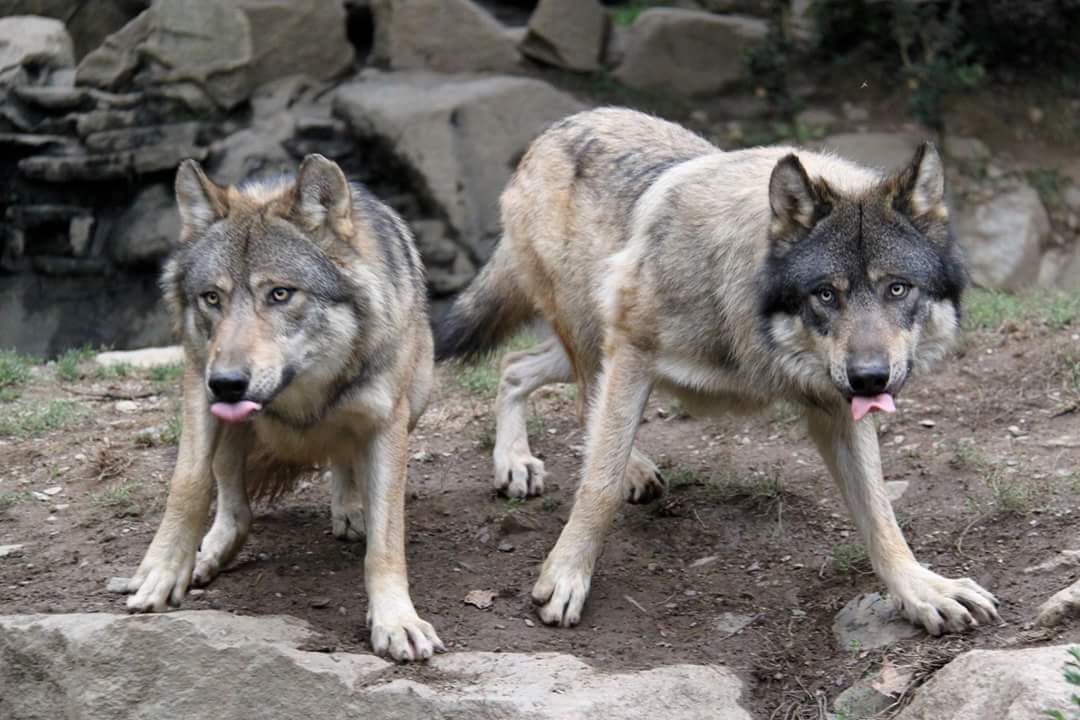 Photo n° 1 de l'avis de yolande.r fait le 24/10/2023 à 19:14