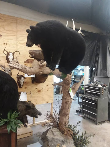 Wildlife-Action Taxidermy and Deer Processing