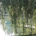 Photo n°1 de l'avis de Nunzia.r fait le 14/10/2018 à 18:12 sur le  Ca' del Sile à Morgano